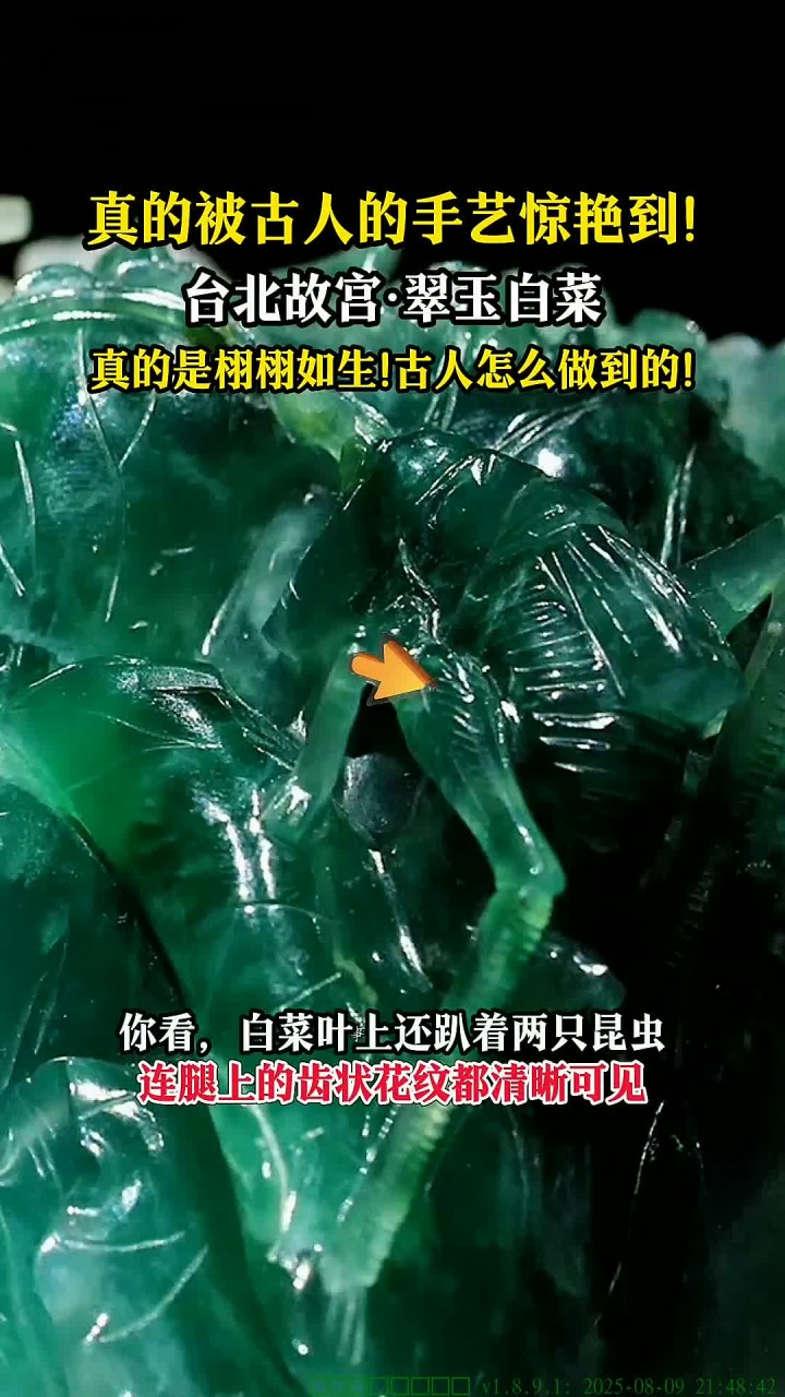 真的被古人的手艺惊艳到!台北故宫翠玉白菜,真的栩栩如生