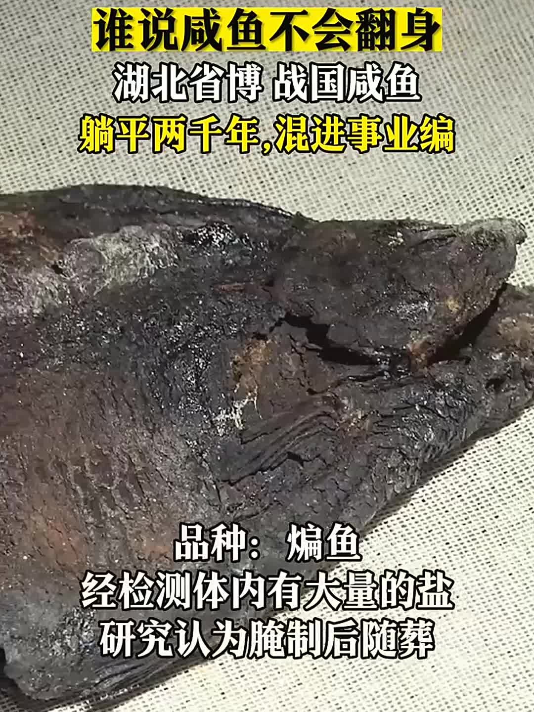 谁说咸鱼不会翻身?