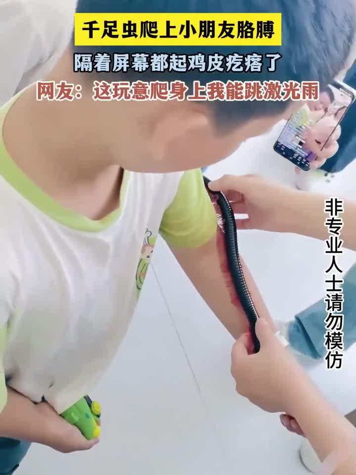 千足虫爬上小朋友胳膊,隔着屏幕都起鸡皮疙瘩了