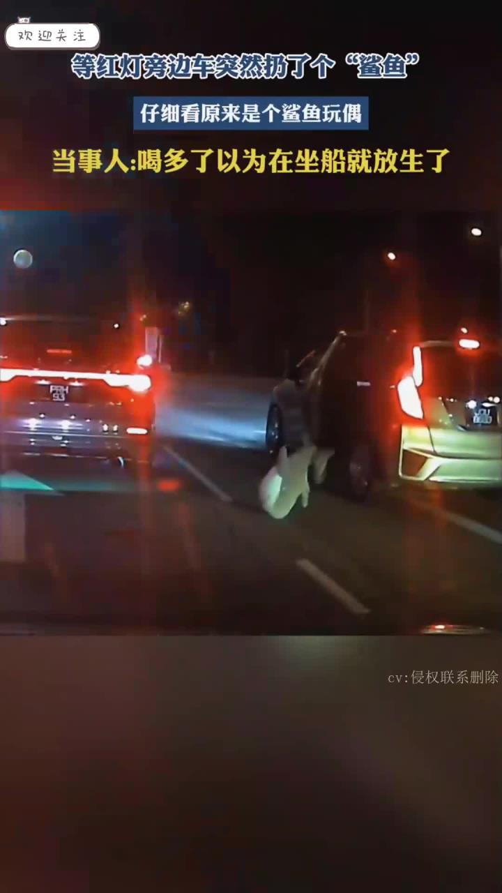 等红灯旁边车突然扔了个“鲨鱼”，仔细看原来是个鲨鱼玩偶。当事人：喝多了以为在坐船