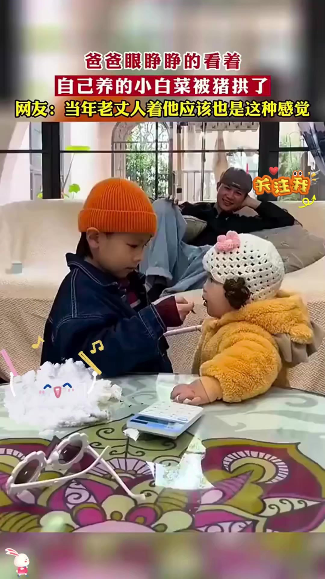 爸爸眼睁睁的看着,自己养的小白菜被别人家小猪拱了