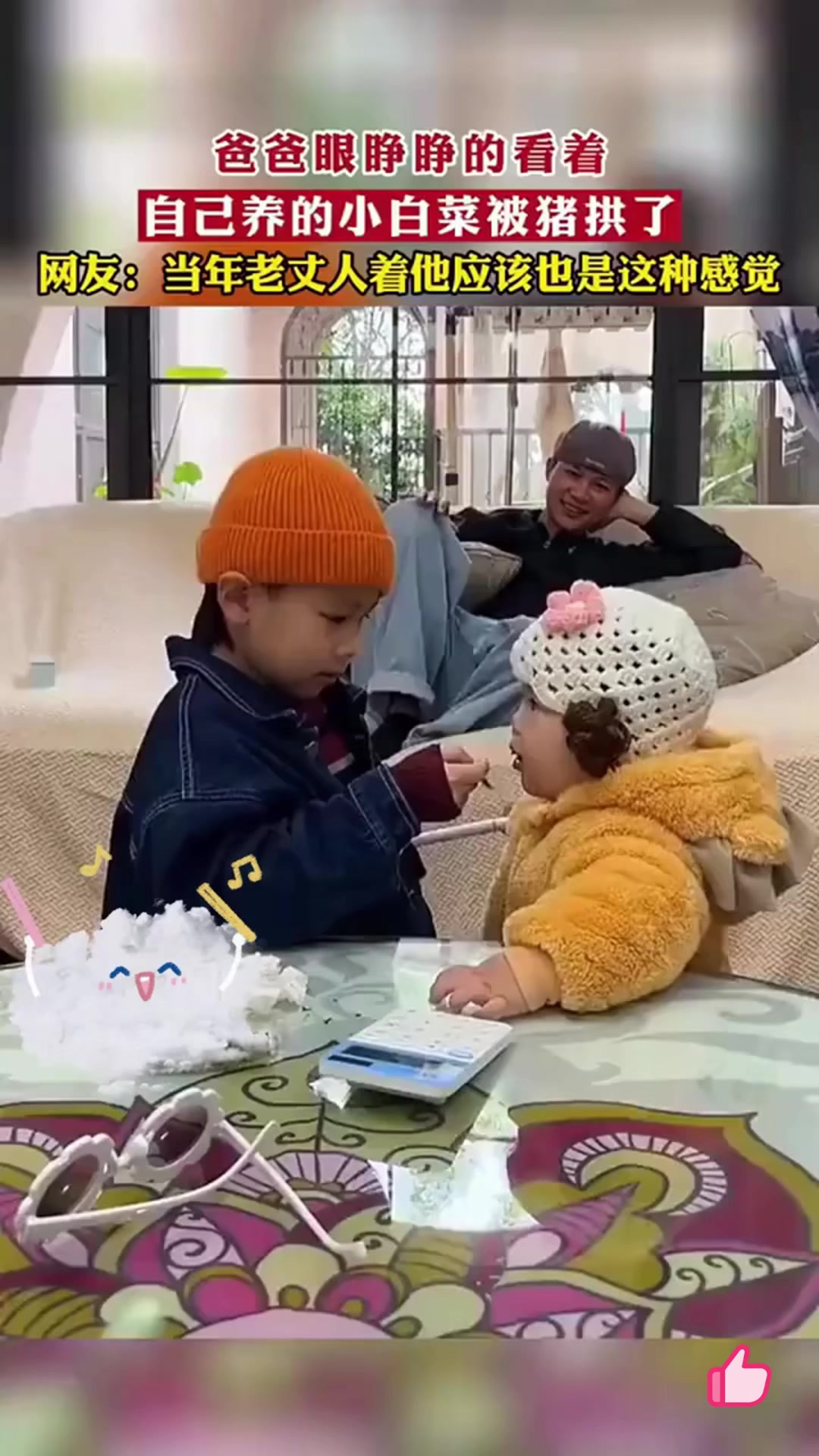 爸爸眼睁睁的看着,自己养的小白菜被别人家小猪拱了