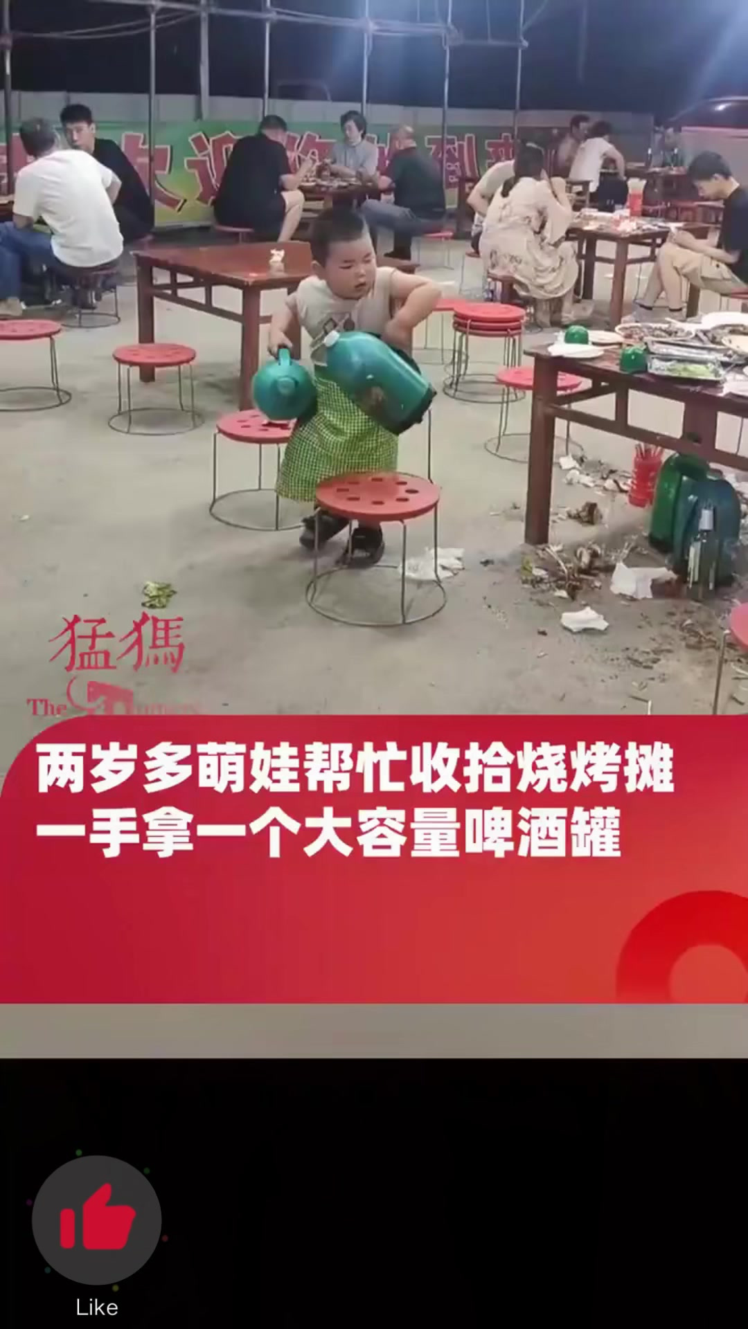 两岁多萌娃帮忙收拾烧烤摊,一手拿一个大容量啤酒罐