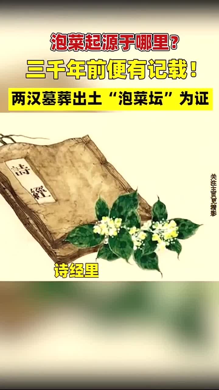李子柒做泡菜遭韩国网友攻击 历史证明我们不怕