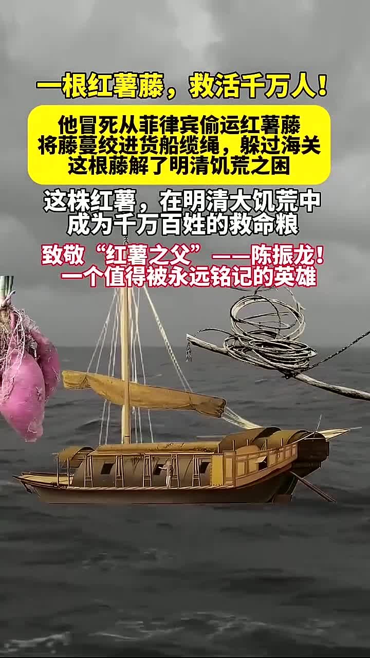 一根红薯藤,拯救千万生命!