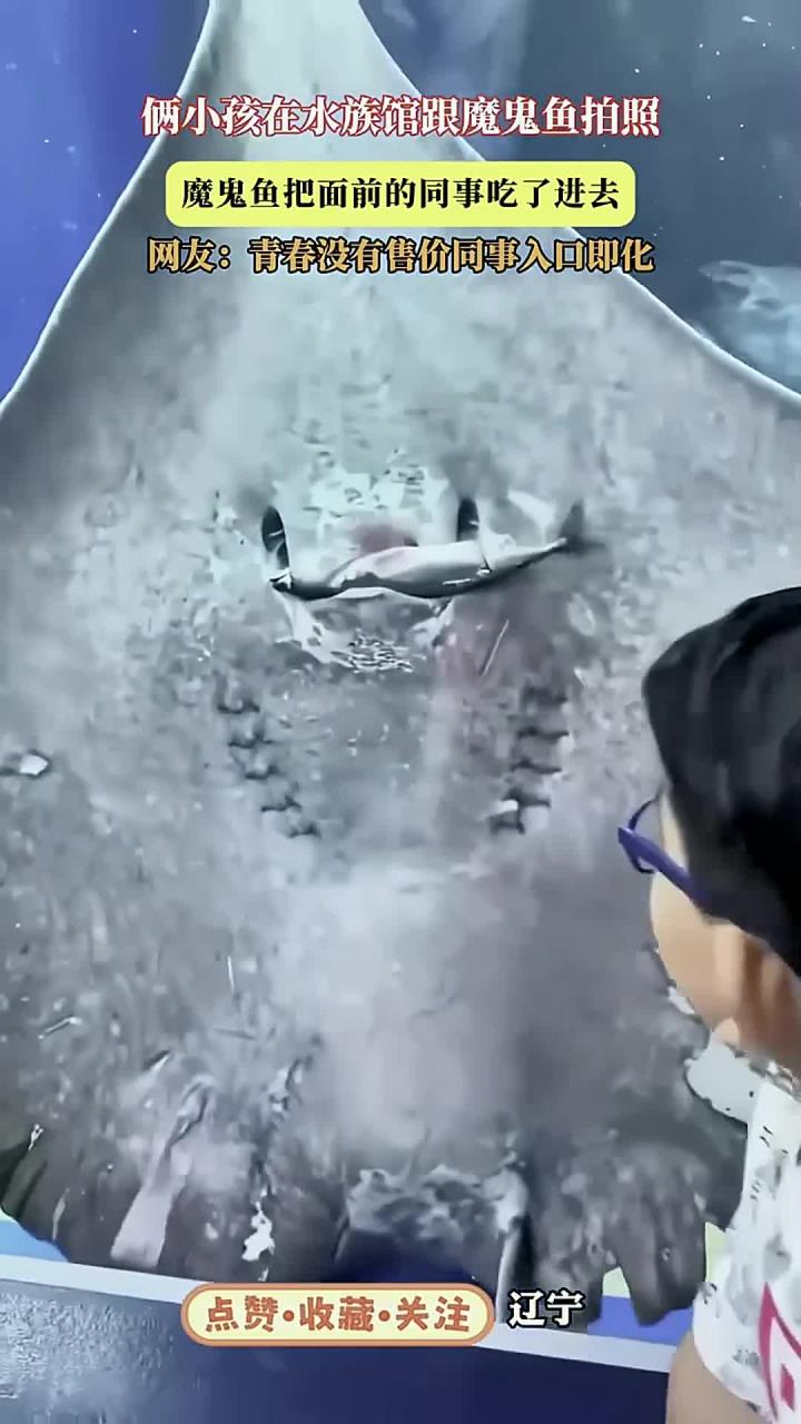 俩小孩在水族馆跟魔鬼鱼拍照,魔鬼鱼把面前的同事吃了进去