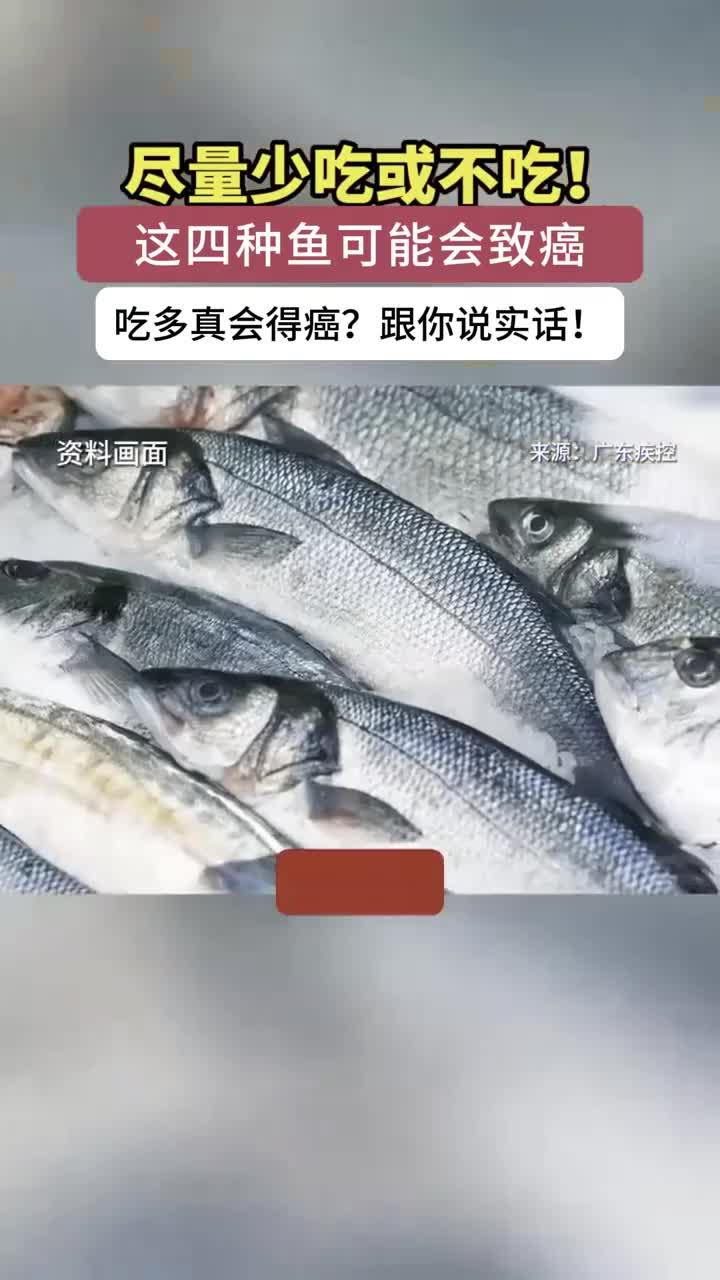 尽量少吃或不吃!这4种鱼有致癌风险