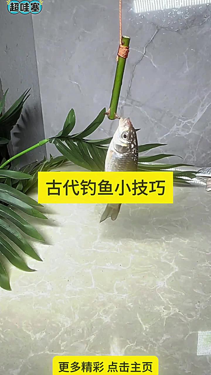 古代钓鱼小技巧 古代钓鱼小技巧
