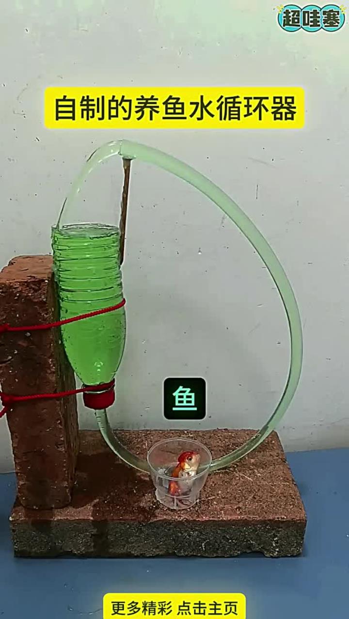 自制的养鱼水循环器