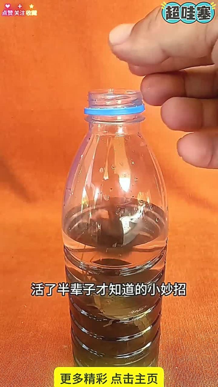 保存龙虾小妙招