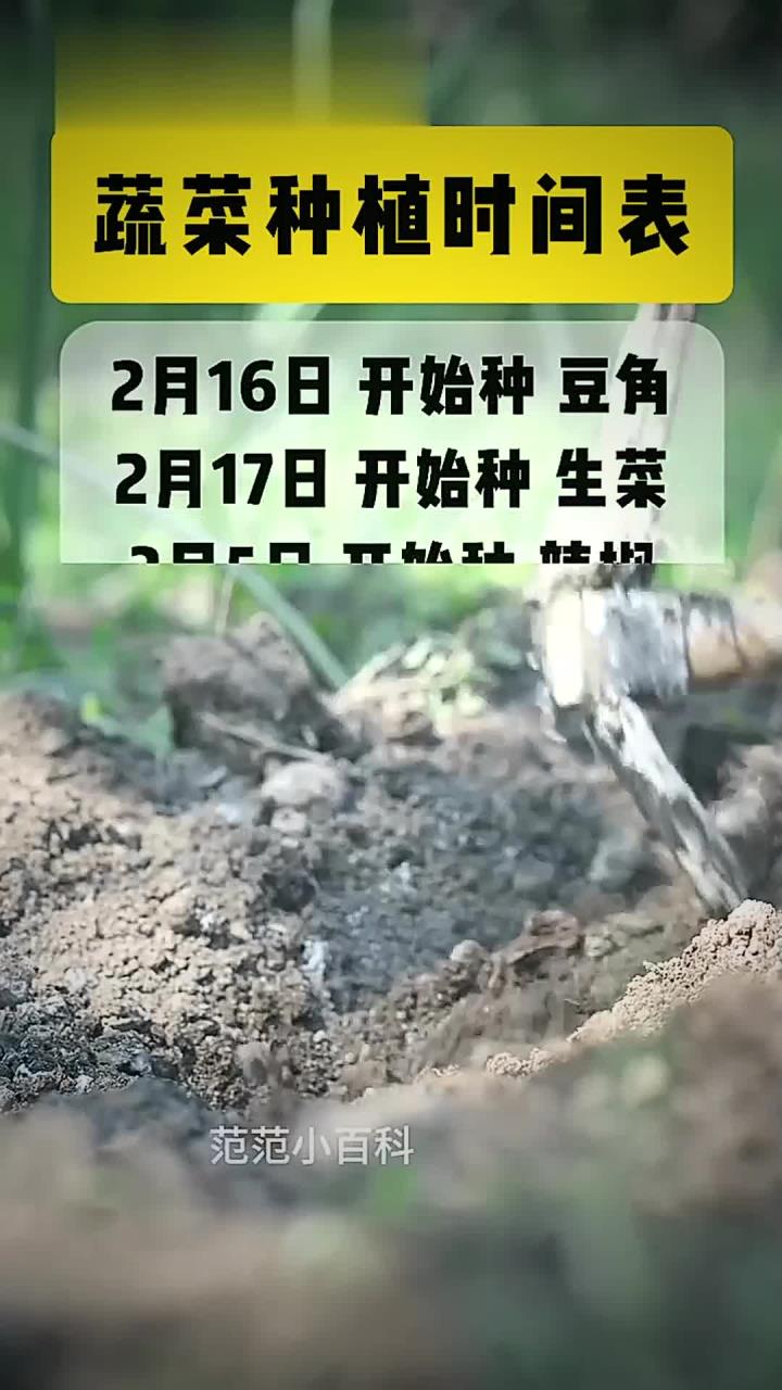 蔬菜种植时间表