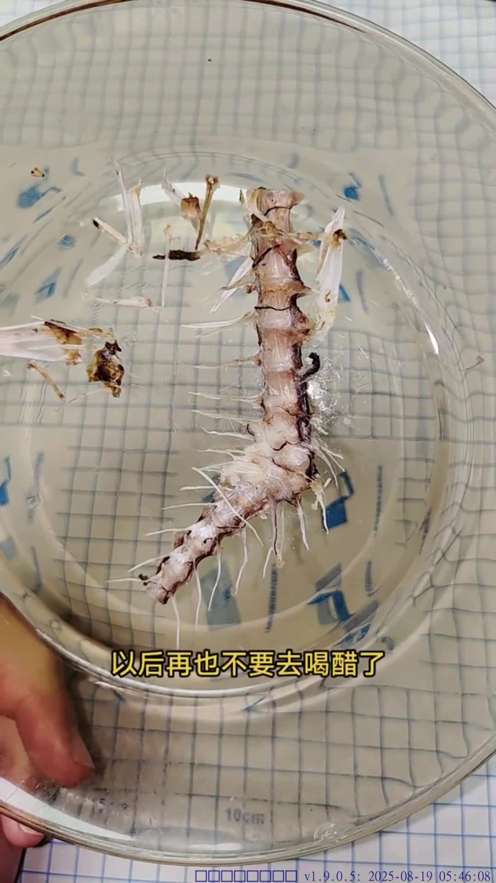 被鱼刺卡喉怎么办?这个方法百试百灵