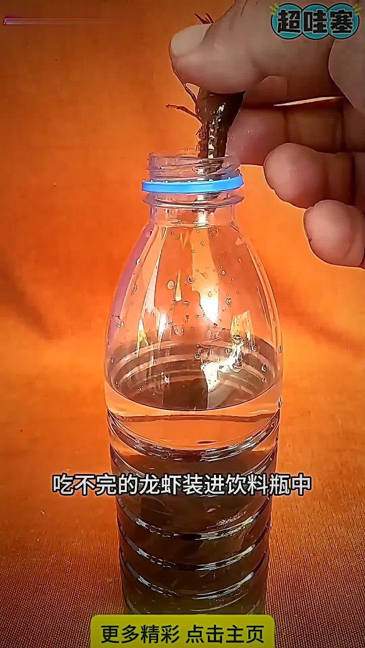 保存龙虾小妙招