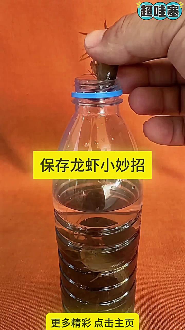 保存龙虾小妙招