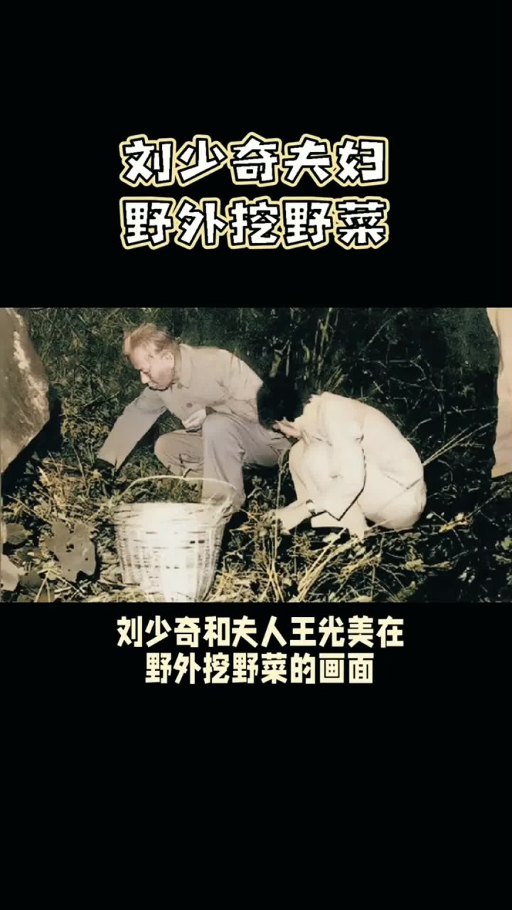 刘少奇和夫人王光美挖野菜时的画面