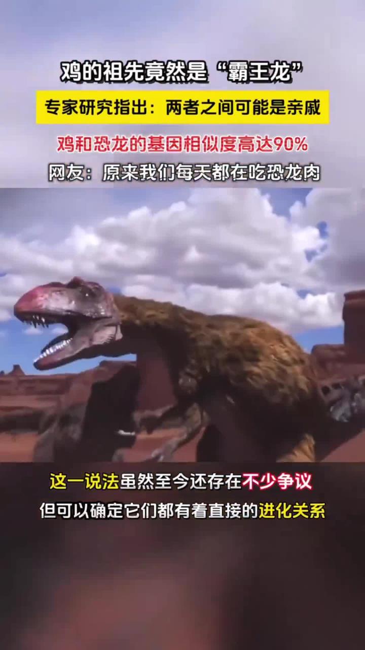 鸡的祖先竟然是霸王龙?科学家通过提取霸王龙化石基因