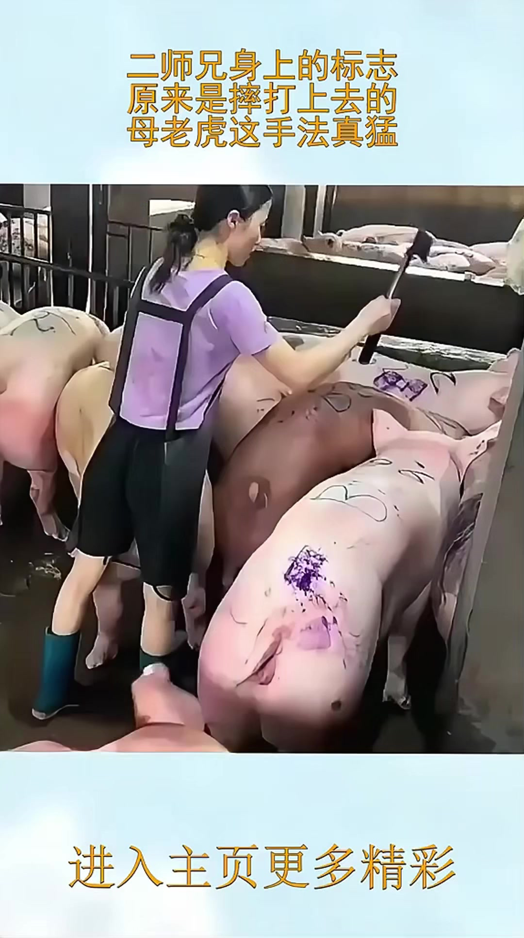 二师兄身上的标志，原来是摔打上去的，母老虎这手法真猛