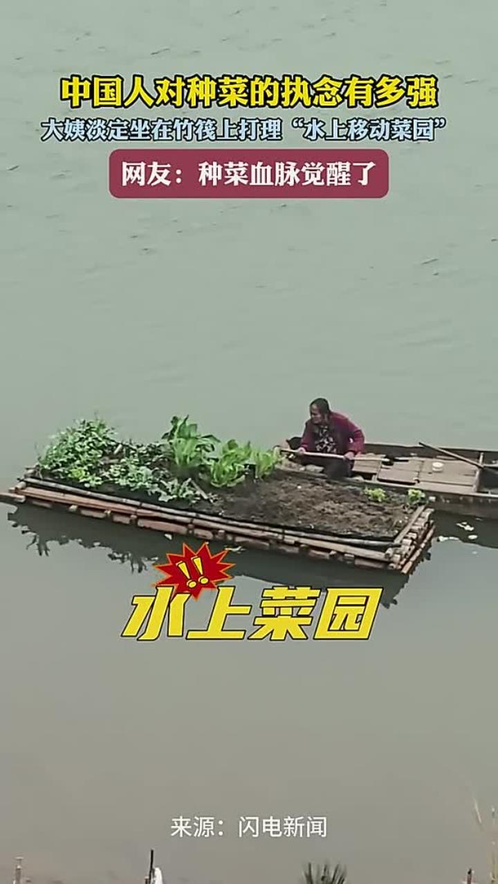 中国人对种菜的执念有多强 大姨淡定坐在竹筏上打理“水下移动菜园 ”网友：种菜血脉觉