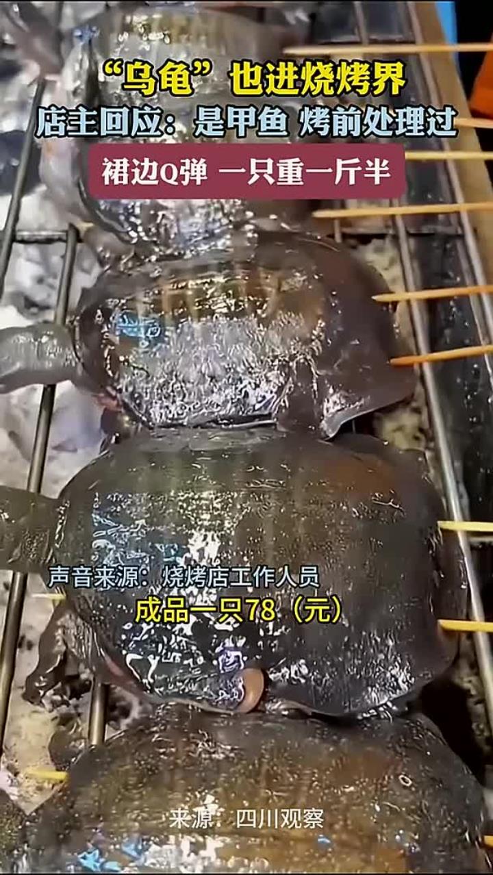 “乌龟”也进烧烤界 店主回应：是甲鱼 烧前处理过 裙边Q弹 一只重一斤半
