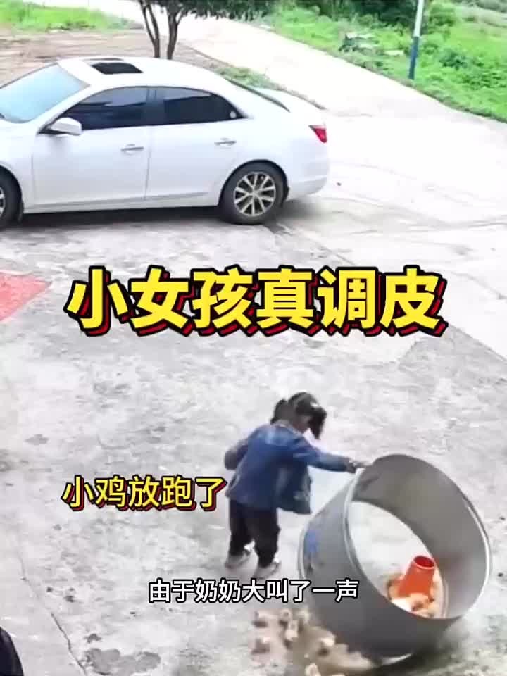 小女孩真调皮,小鸡放跑了