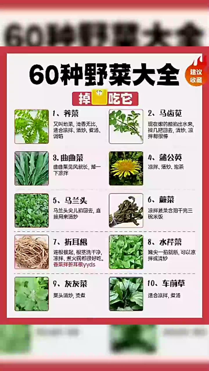 60种野菜大全,掉秤掉得快