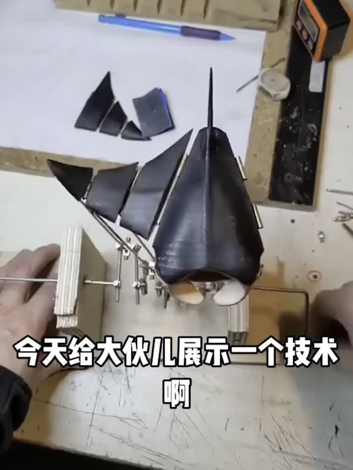 会飞的鲨鱼搞笑视频