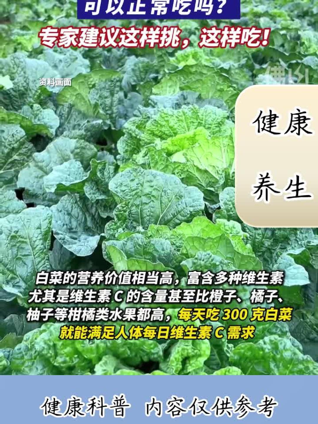 #健康扬帆季#大白菜惊现“黑点”！专家教你如何安全挑选