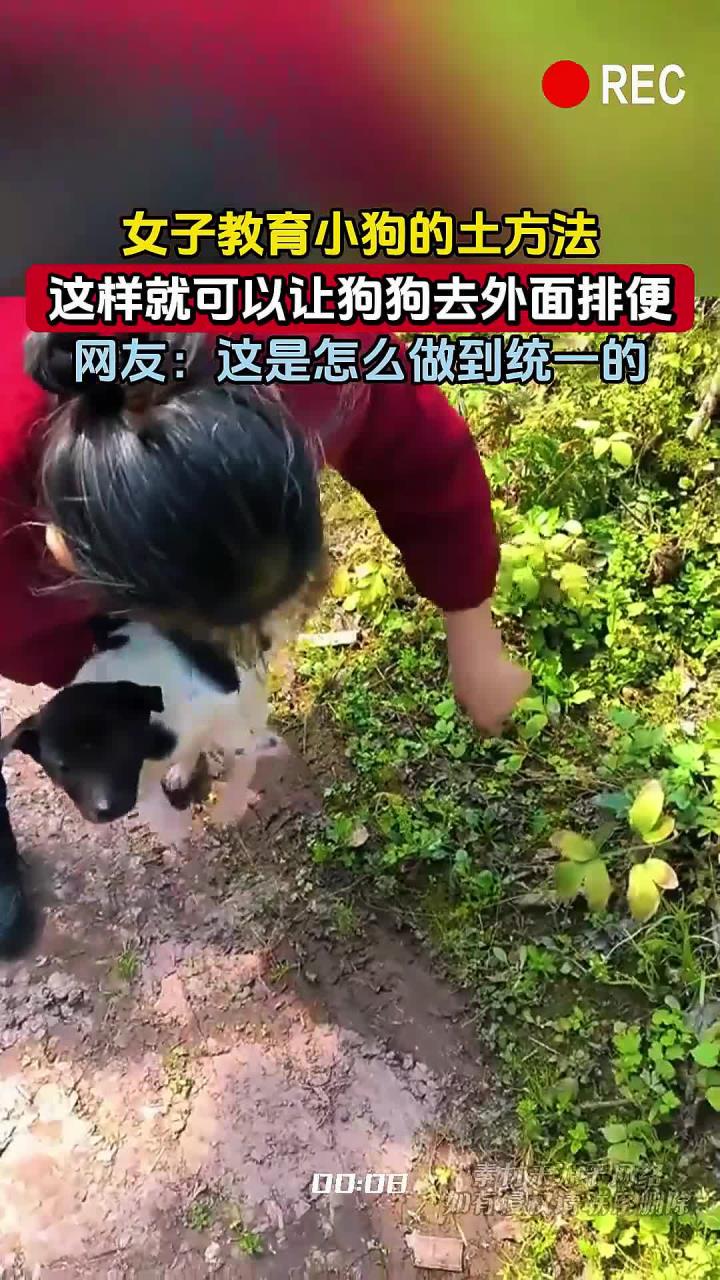 女子教育小狗的土方法,这样就可以让狗狗去外面排便,网友这是怎么做到统一的