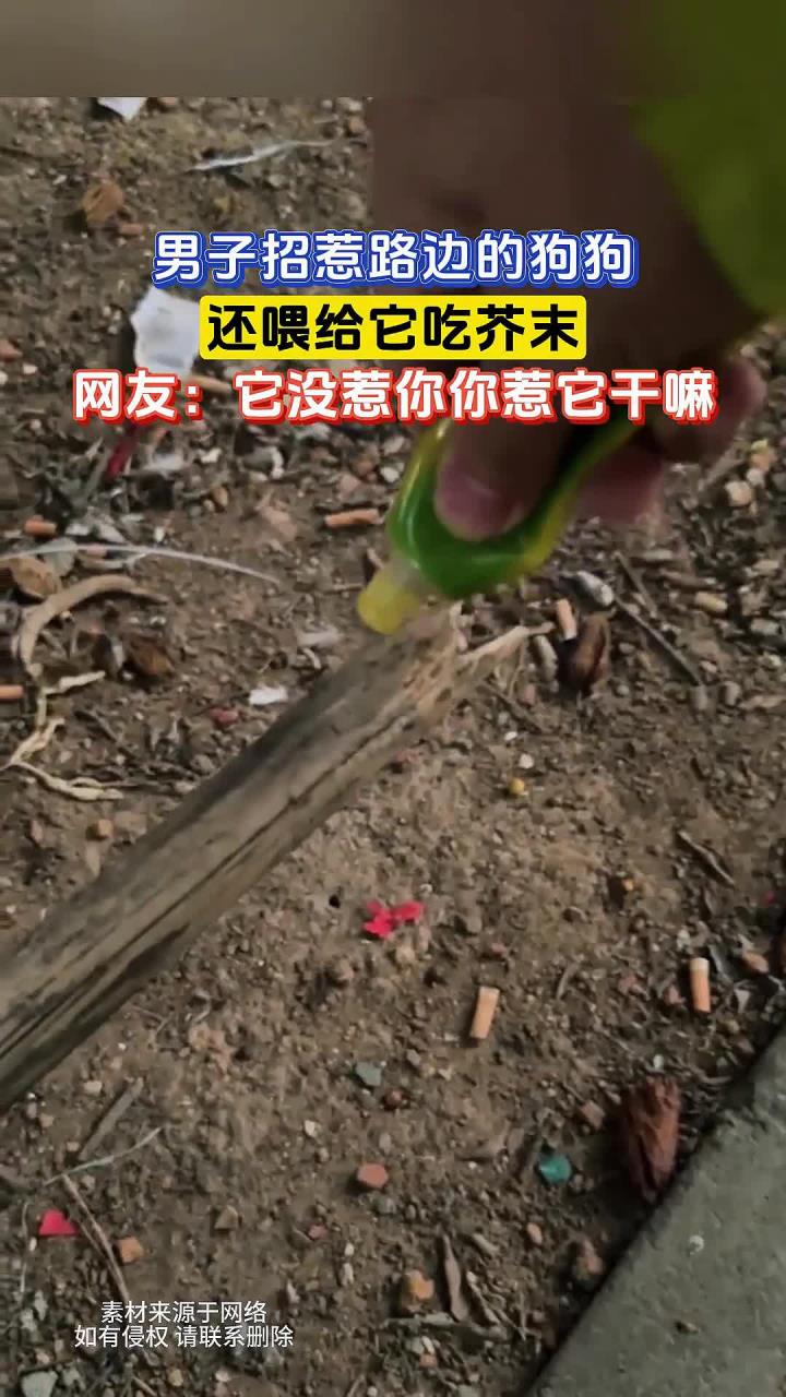 男子招惹路边的狗狗,还喂给它吃芥末,网友它没惹你你惹它干嘛