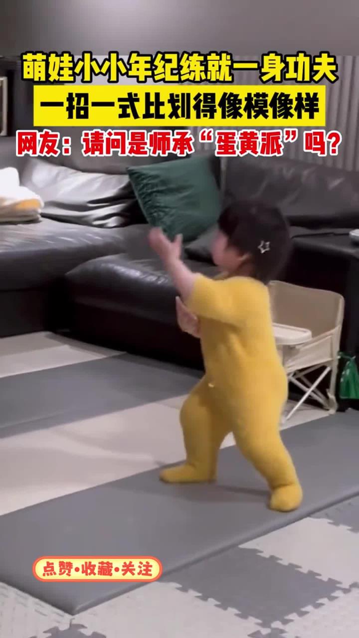 萌娃小小年纪练就一身功夫，网友：请问是师承“蛋黄派”吗？(1)