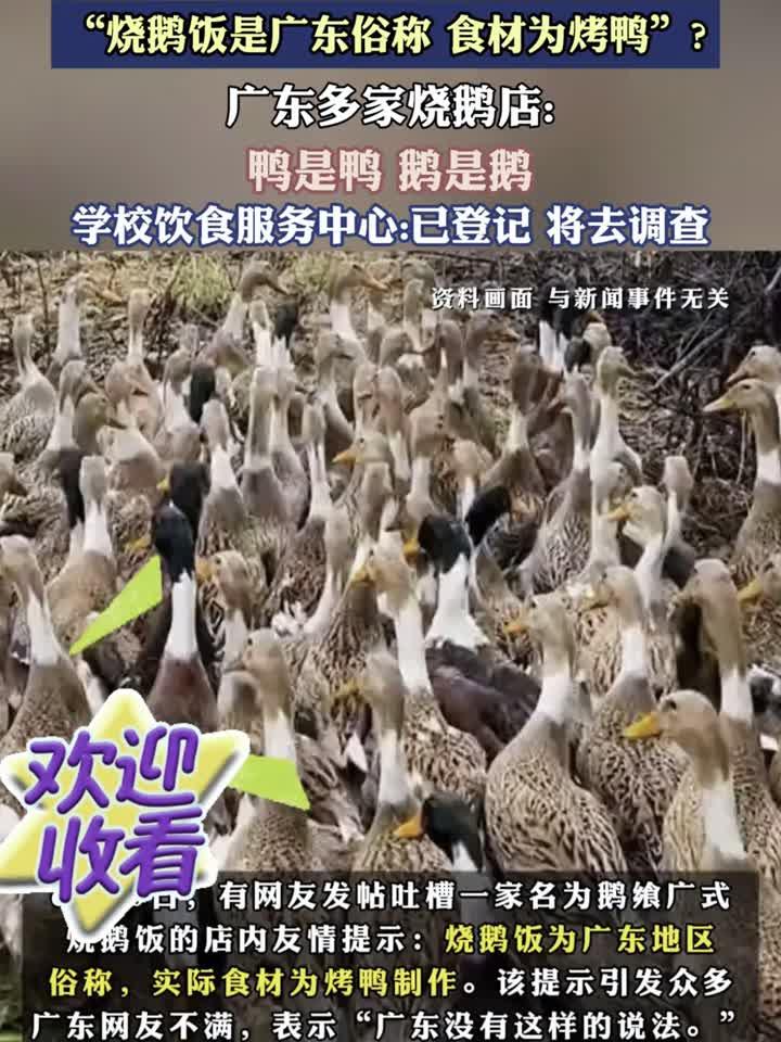 武汉一高校食堂称“烧鹅饭是广东俗称食材为烤鸭”？_0827_141849