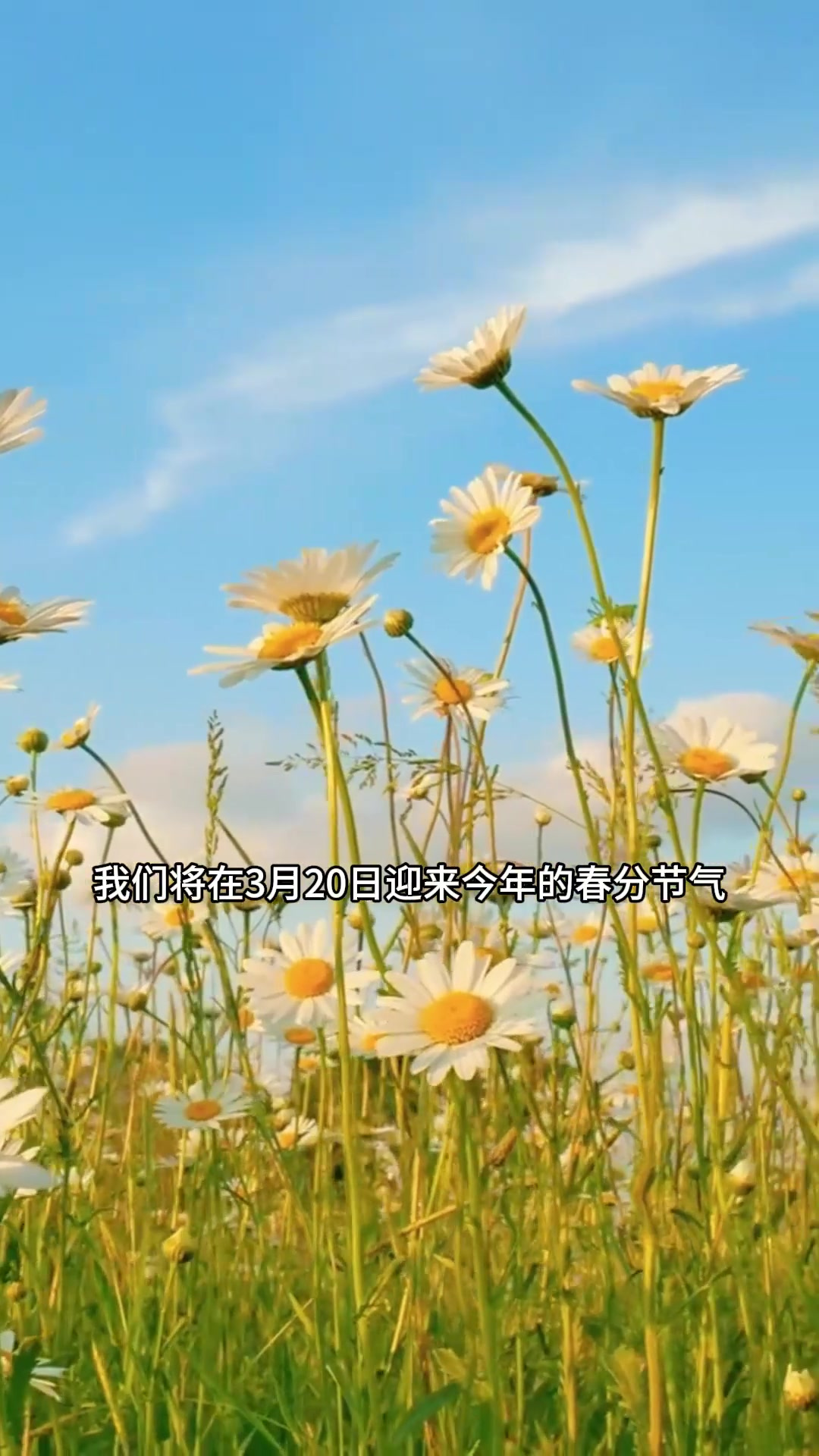 春分吃春菜 你知道吗,这是一年中你必须要吃素的一天(3)