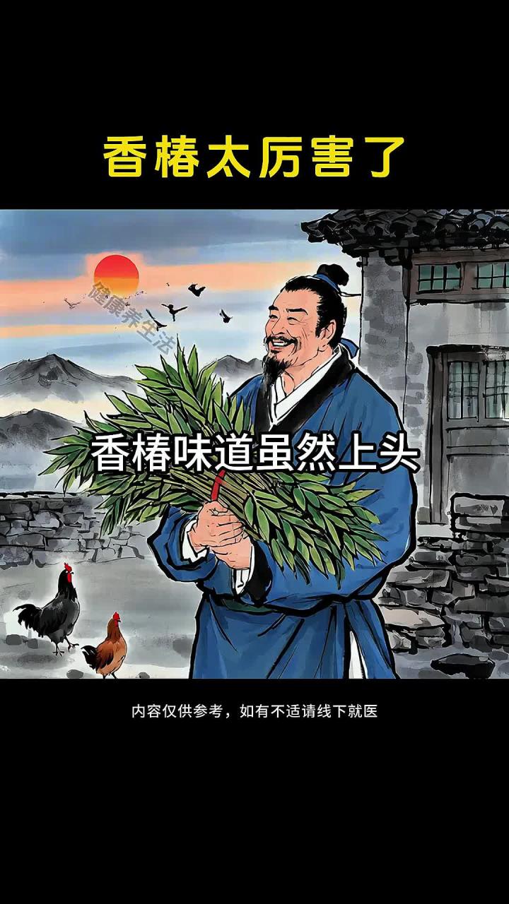 春菜之王香椿,也叫长寿菜