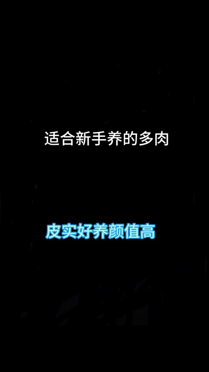 今天给咱们推荐几款适合新手朋友养的多肉，皮实好养颜值高