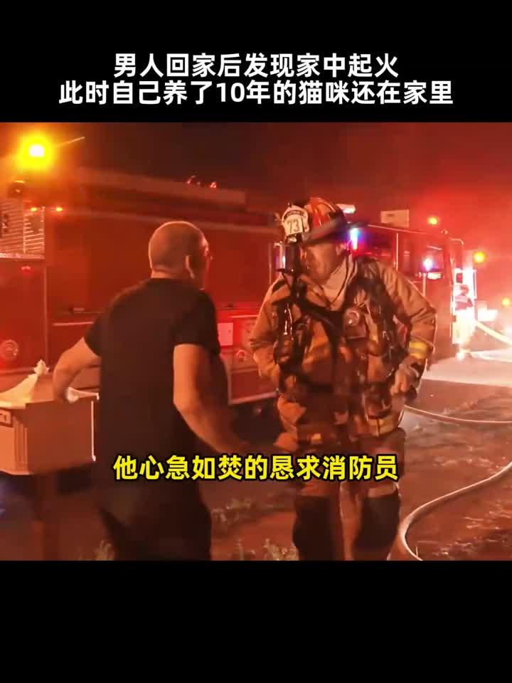 男子回家发现独居的家里起火,最担心的是他养了10年的猫