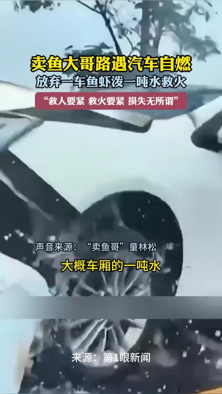 卖鱼大哥路遇汽车自燃 放弃一车鱼虾泼一吨水救火“救人要紧 救火要紧 损失无所谓”