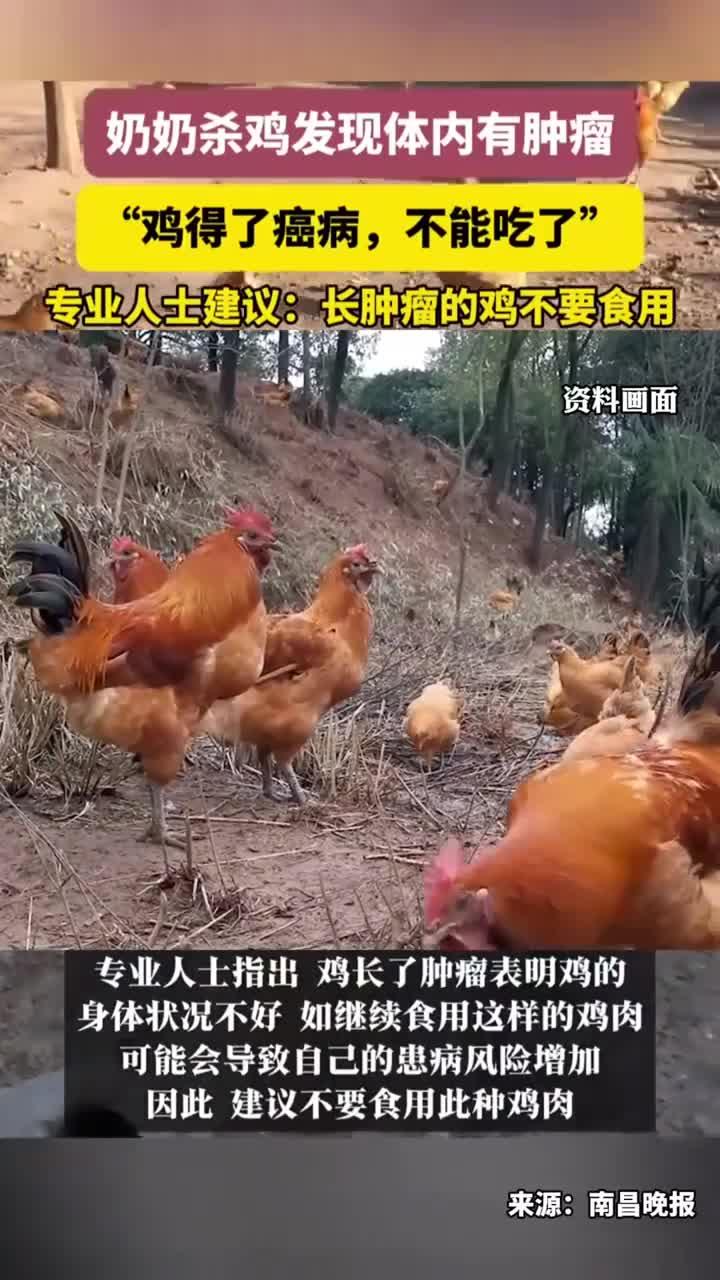 奶奶杀鸡发现体内有肿瘤,专业人士建议:长肿瘤的鸡不要食用