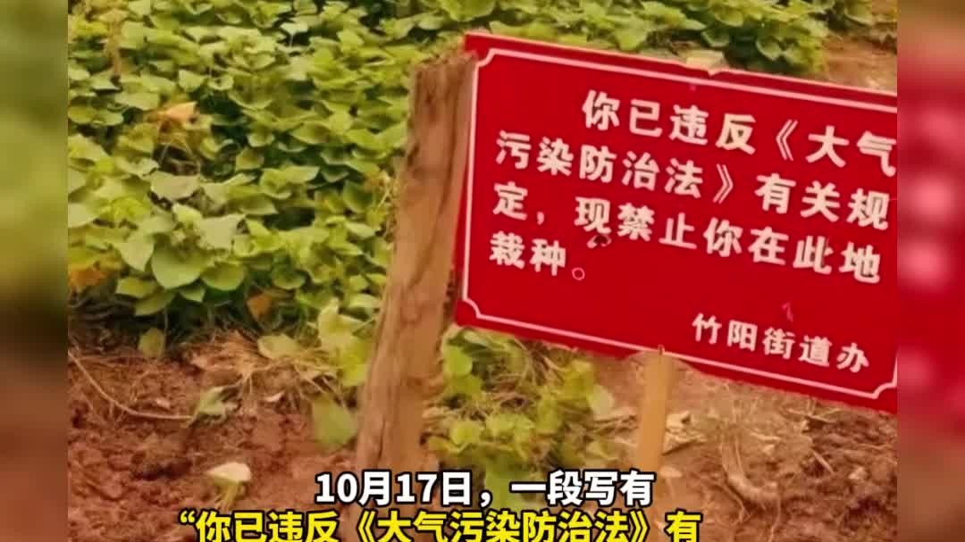法律解读-菜园被插牌称违反大气污染法禁止栽种，街道办：地块已