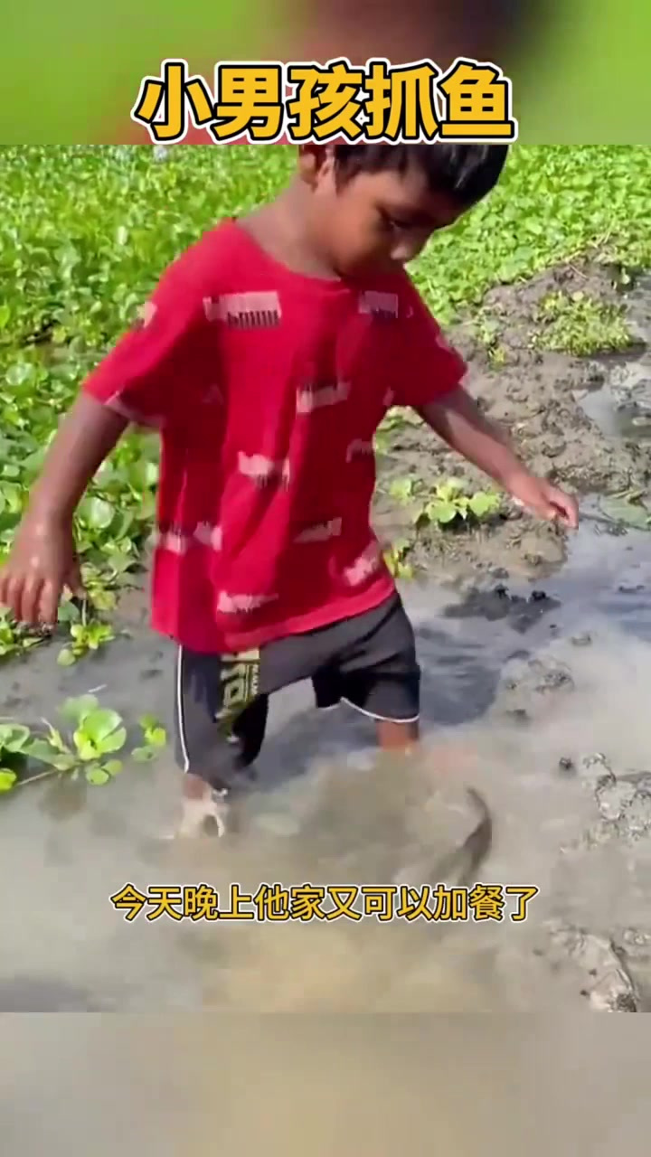 看着国外小男孩抓鱼的方式有模有样的