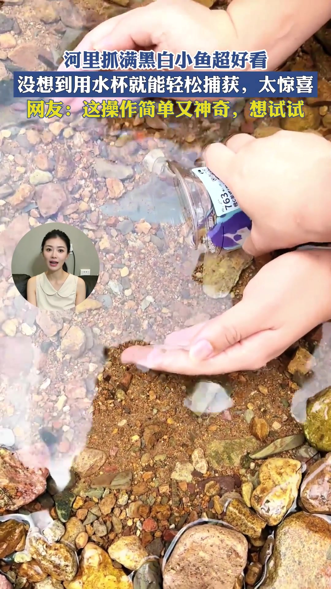 河里抓满黑白小鱼超好看,没想到用水杯就能轻松捕获,太惊喜!