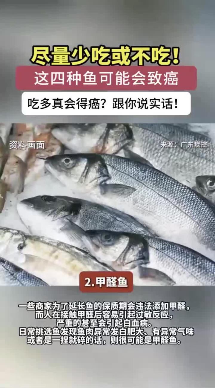 尽量少吃或不吃!这4种鱼有致癌风险