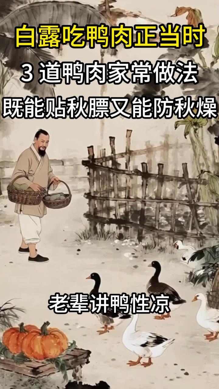 白露吃鸭肉正当时!3 道鸭肉家常做法,既能贴秋膘又能防秋燥 (2)