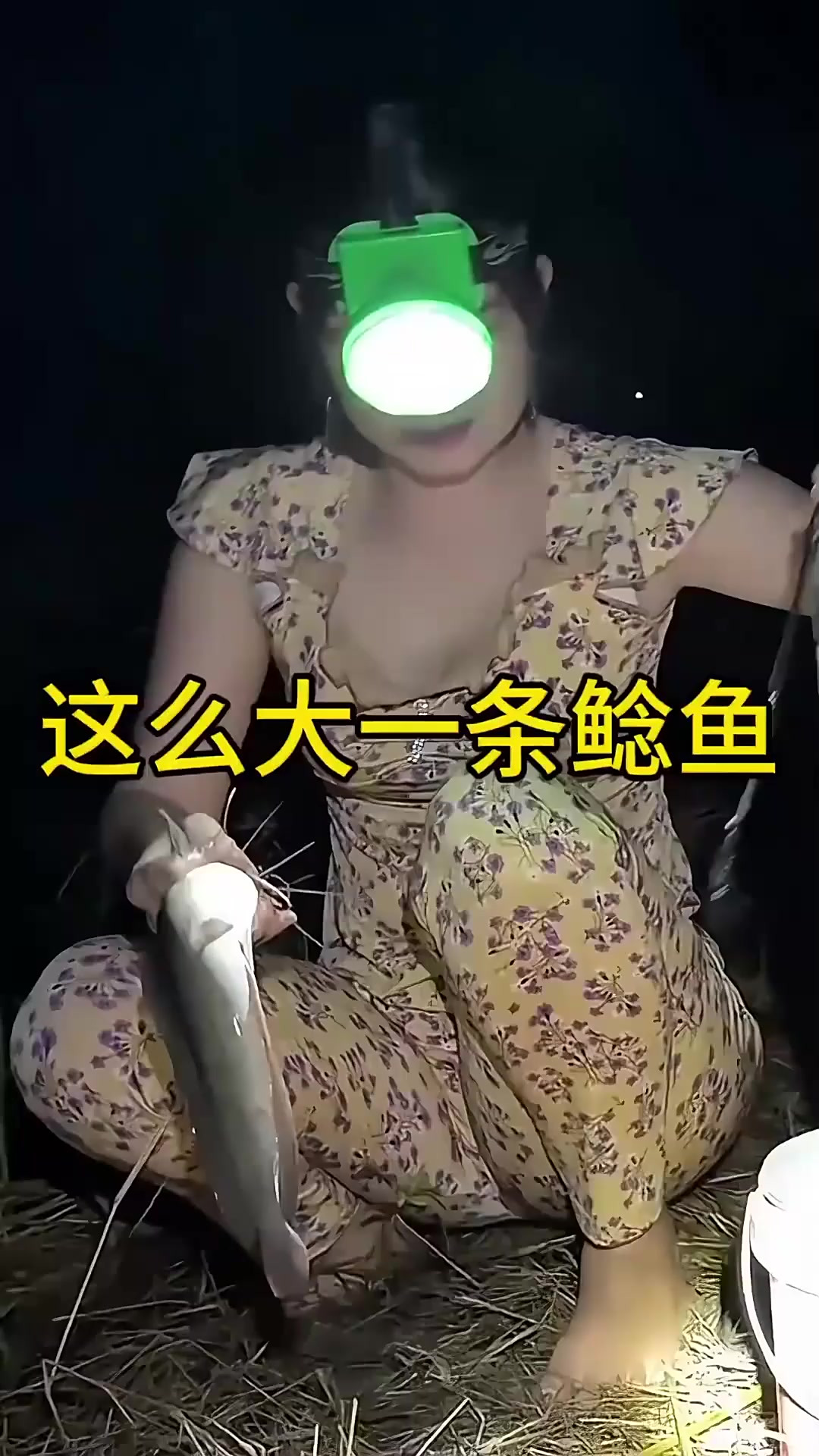 这么大一条鲶鱼