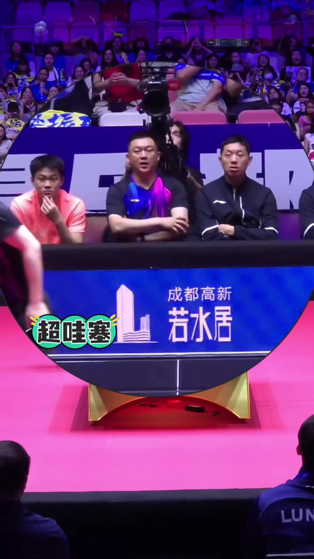 樊振东太可爱!打出超级好运擦网球后 露出熊猫震惊表情包