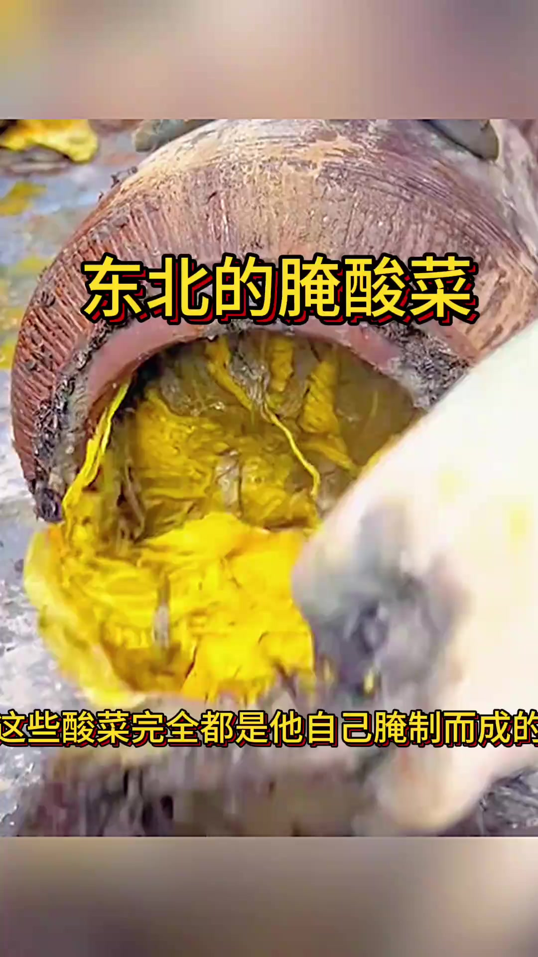 东北的腌酸菜，居然腌成了金黄色