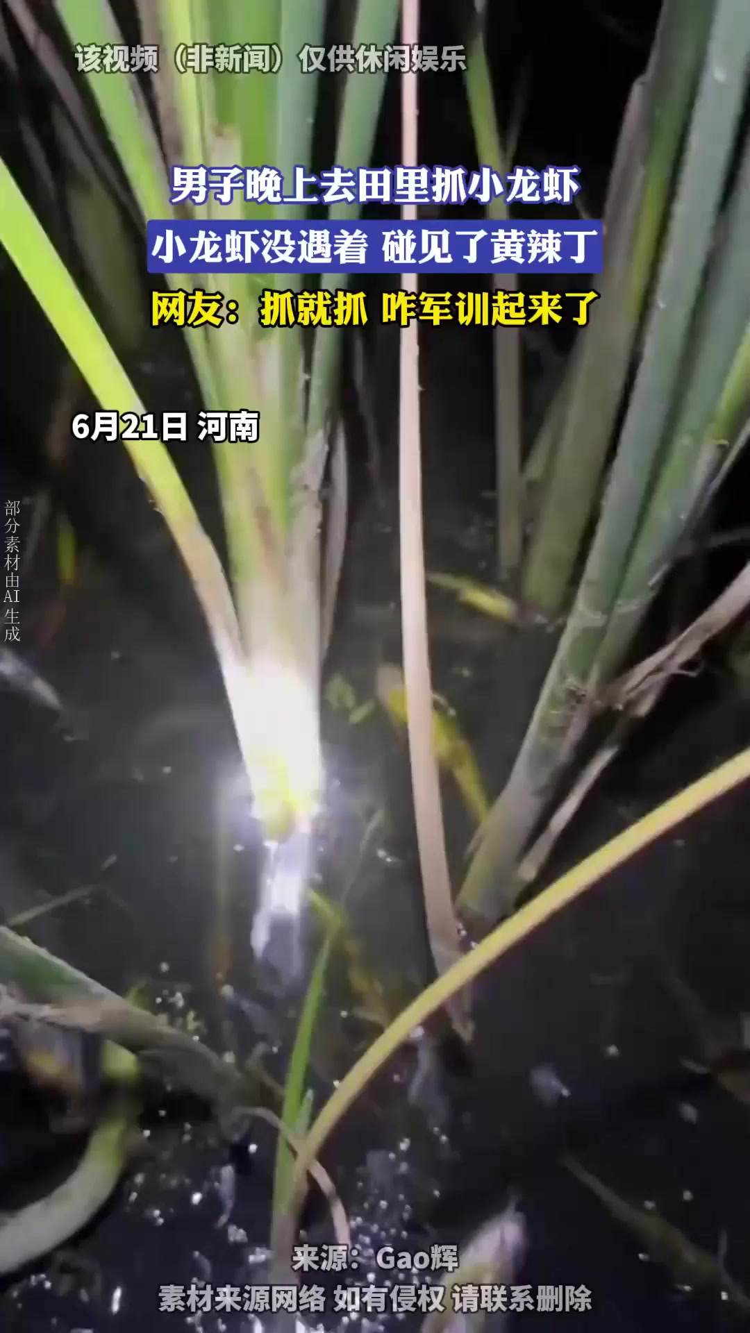 男子晚上去田里抓小龙虾,小龙虾没遇着,碰见了黄辣丁