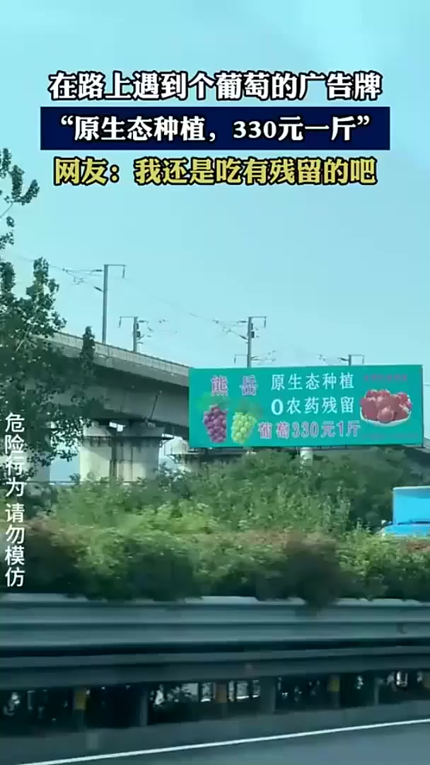 在路上遇到个葡萄的广告牌,“原生态种植,330元一斤”