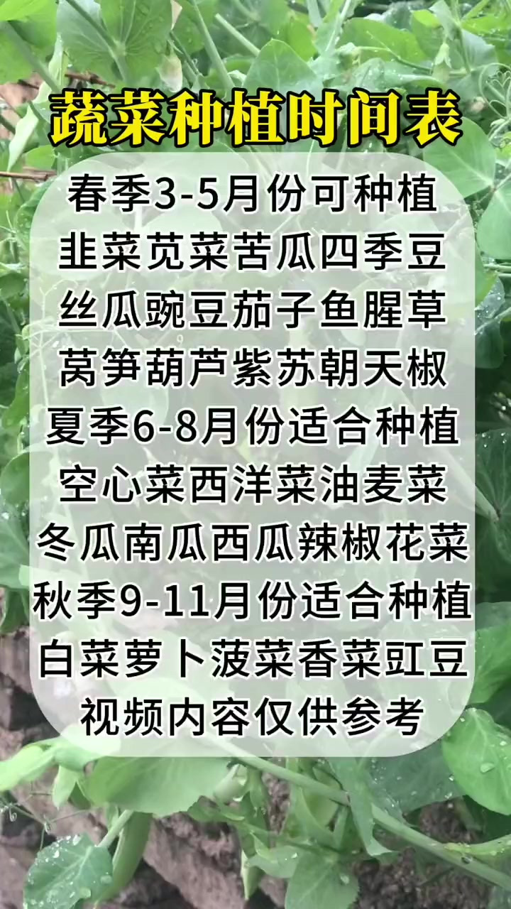 蔬菜种植时间表