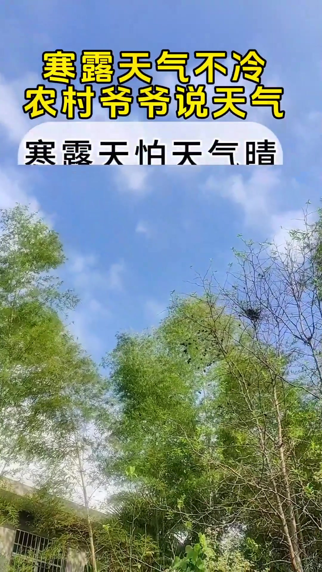 寒露天气不冷 农村爷爷说天气