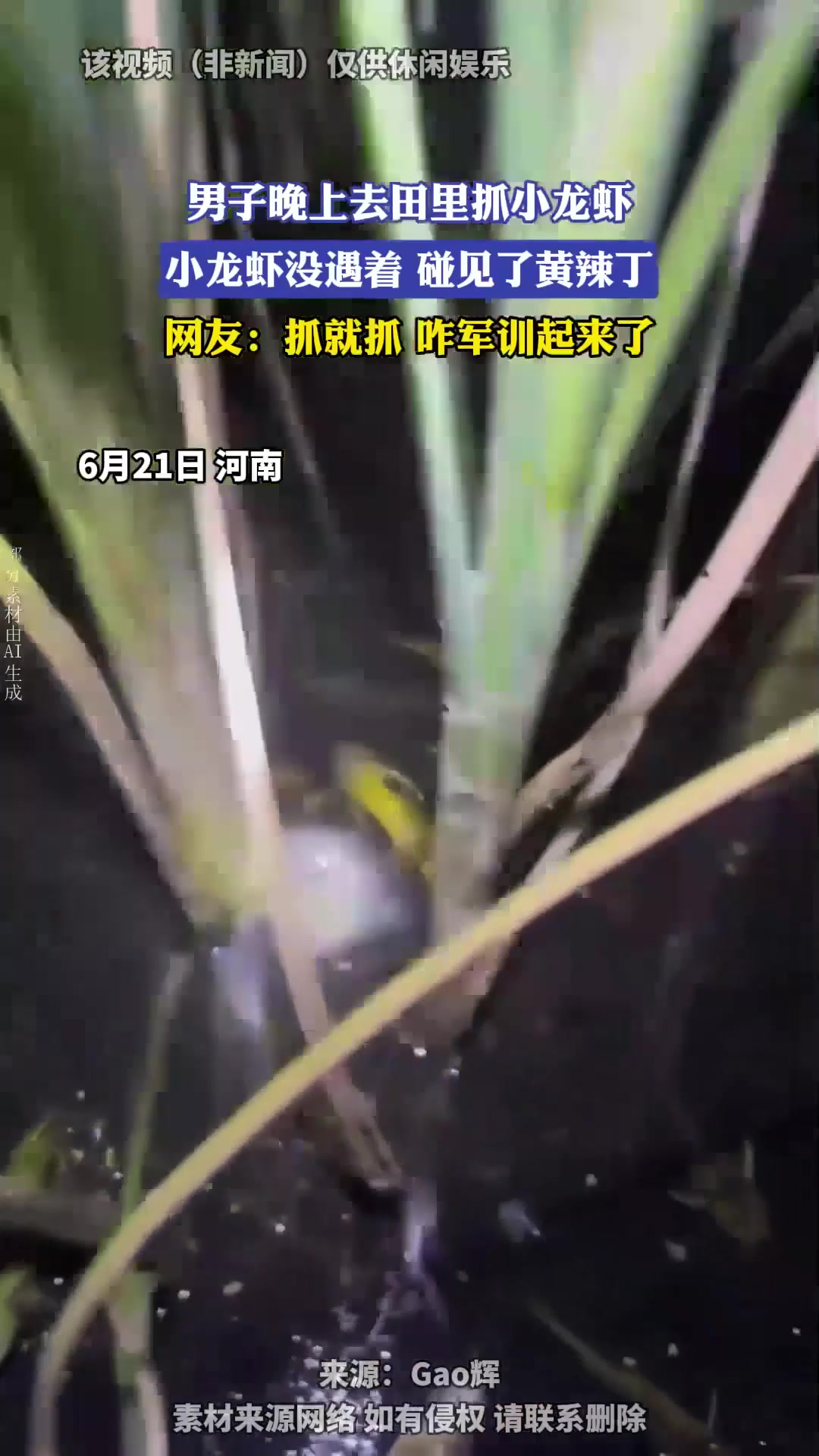 男子晚上去田里抓小龙虾,小龙虾没遇着,碰见了黄辣丁